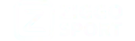 TV Netzwerk IPTV